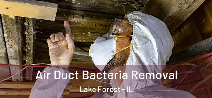  Air Duct Bacteria Removal Lake Forest - IL