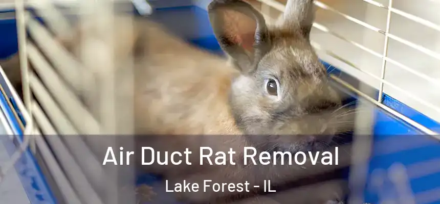  Air Duct Rat Removal Lake Forest - IL