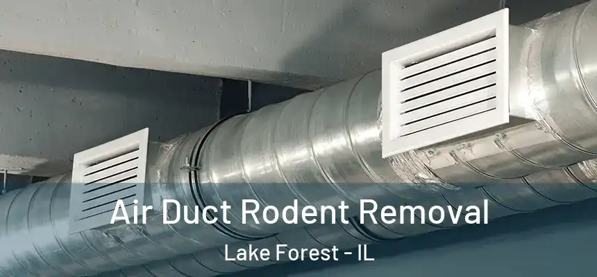 Air Duct Rodent Removal Lake Forest - IL