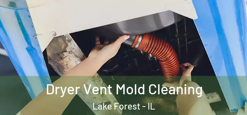  Dryer Vent Mold Cleaning Lake Forest - IL