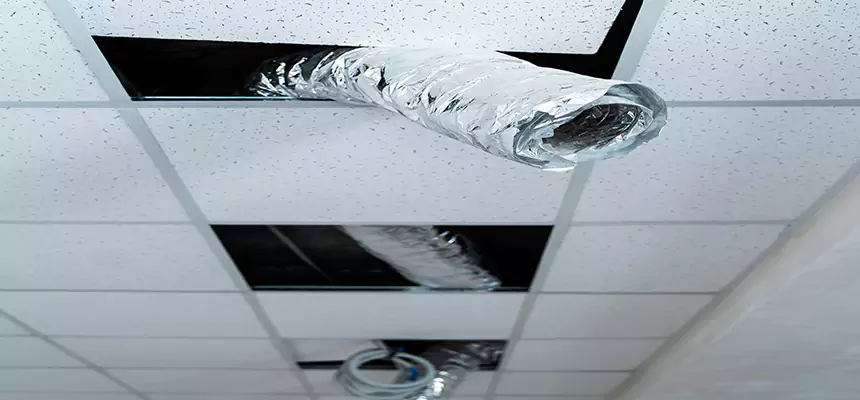 Our Air Duct Pet Hair Removal Services in Lake Forest, IL