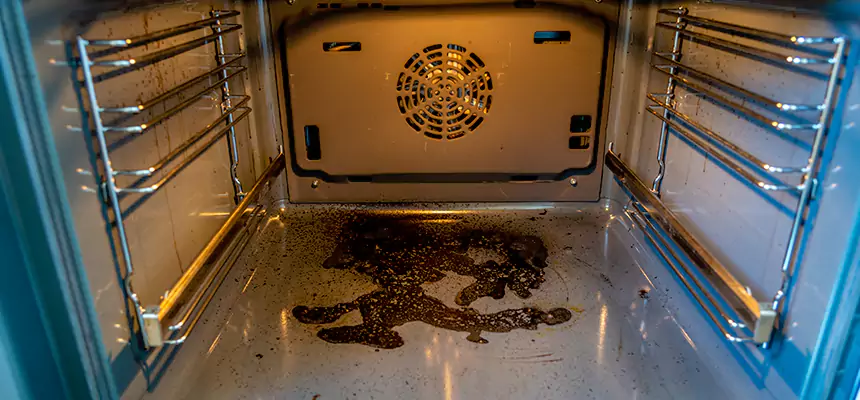 Our Dryer Vent Mold Cleaning Services in Lake Forest, IL