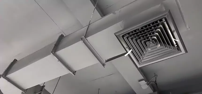 Our Pest Removal From Ducts Services in Lake Forest, IL