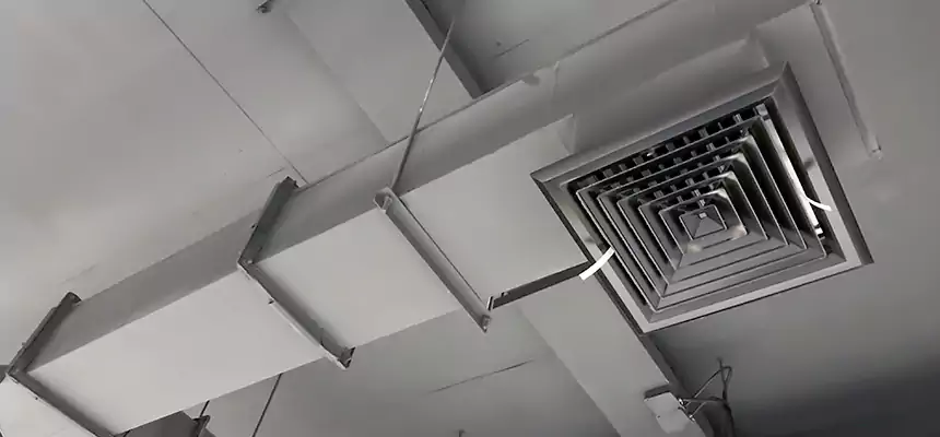 Our Rodent Droppings In Vents Services in Lake Forest, IL