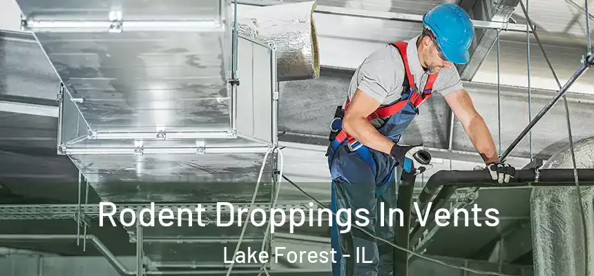 Rodent Droppings In Vents Lake Forest - IL