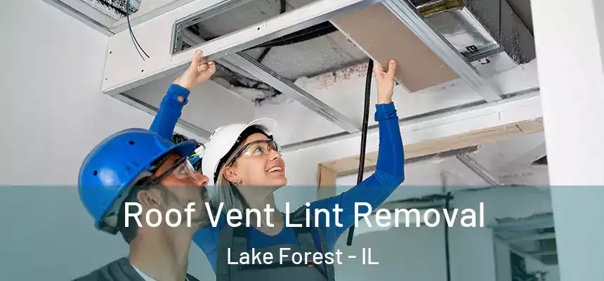 Roof Vent Lint Removal Lake Forest - IL