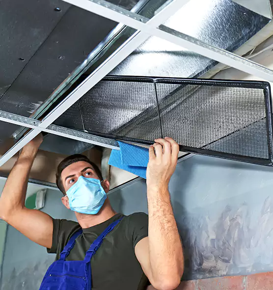 Professional Air Duct Pollen Cleaning in Lake Forest, IL