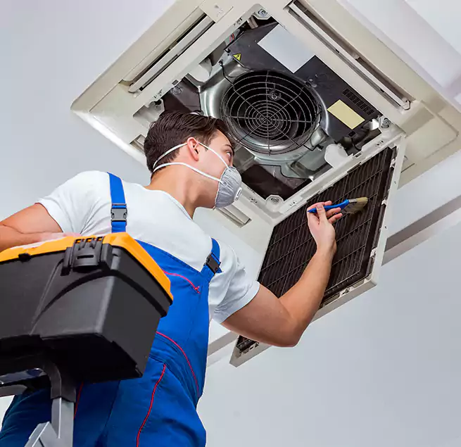 Why Homeowners & Businesses Trust Us in Lake Forest, IL